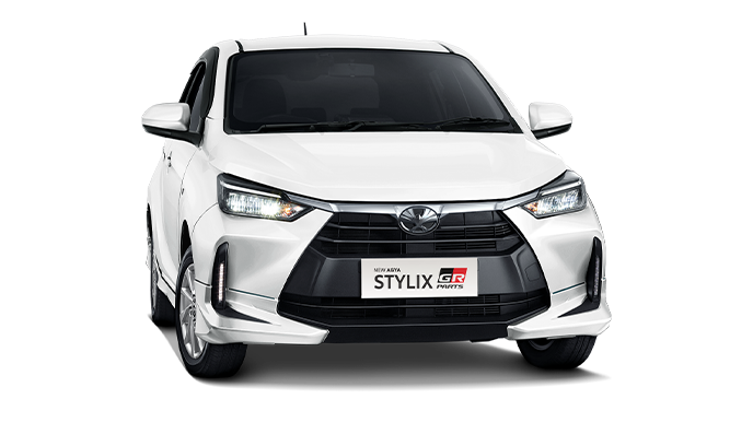 agyastylix6