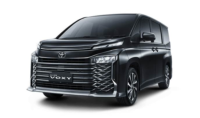 voxy4